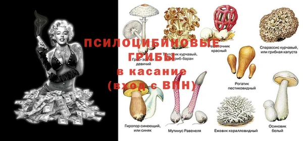 а пвп мука Балахна