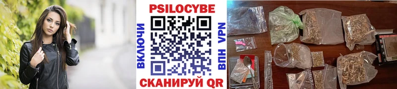 Галлюциногенные грибы Cubensis  наркотики  Новоалтайск 
